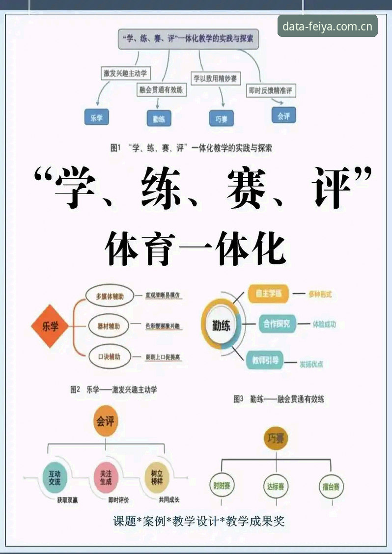 资深用户分享：飞亚体育智能平台评测的实战心得与深度体验