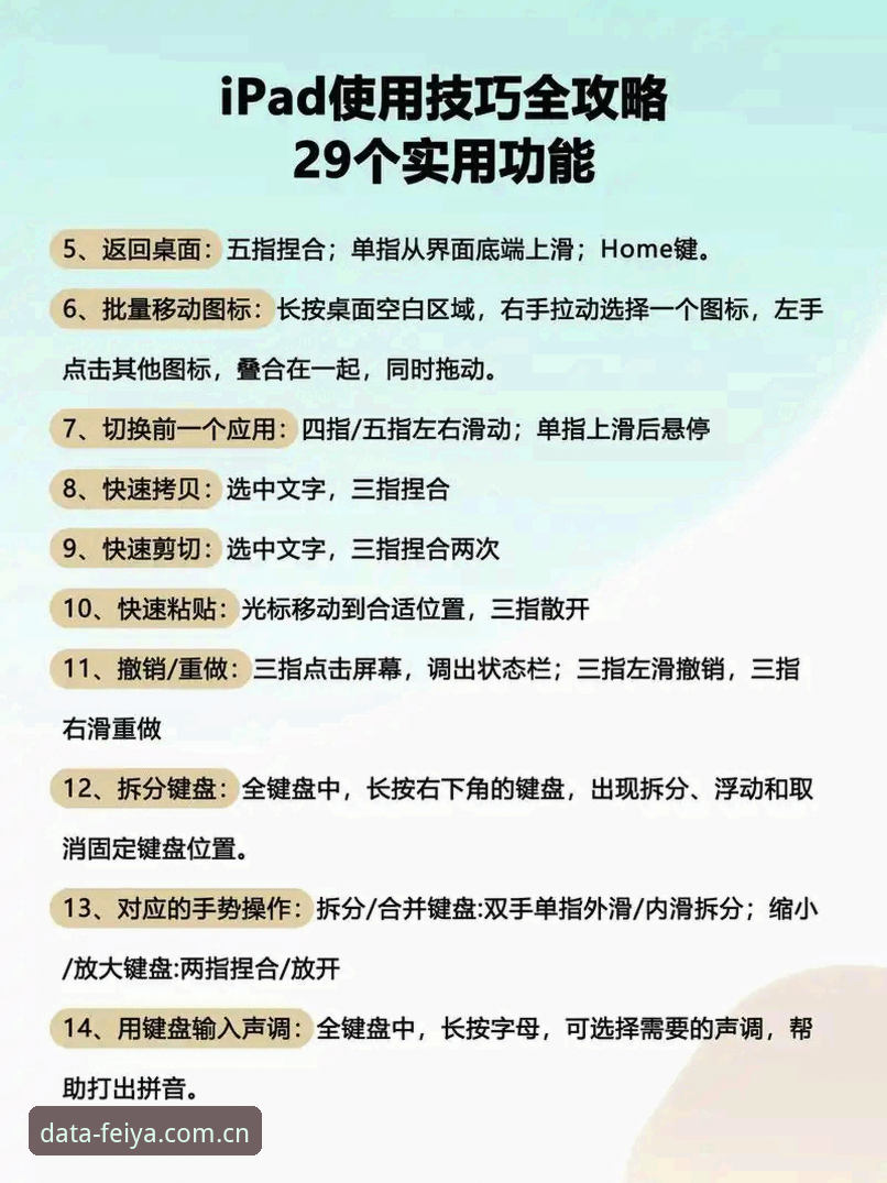 飞亚体育网使用教程：从入门到精通的体育数据智能分析指南